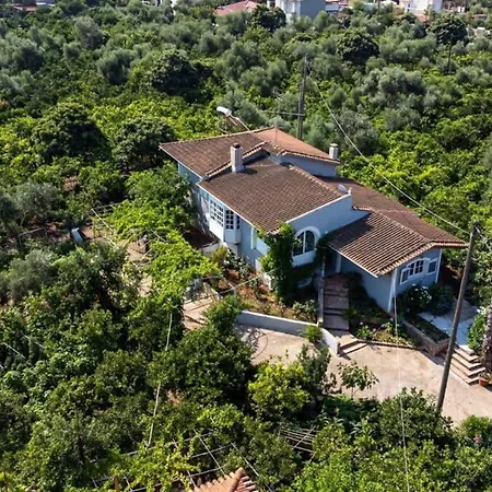 Сasa de vacaciones Serene Seaside Bliss - Lush & Secluded Garden Oasis